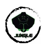 Jungle Gym McLean image 4